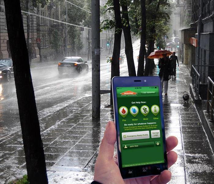 Rainy day walking down a busy street