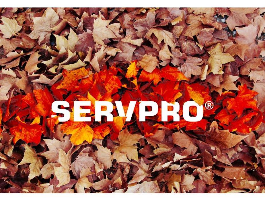 SERVPRO logo in leaves